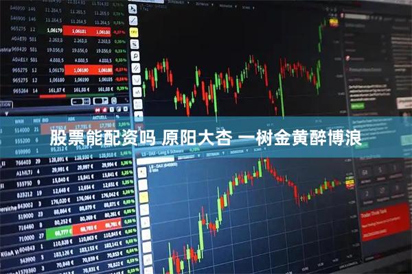 股票能配资吗 原阳大杏 一树金黄醉博浪